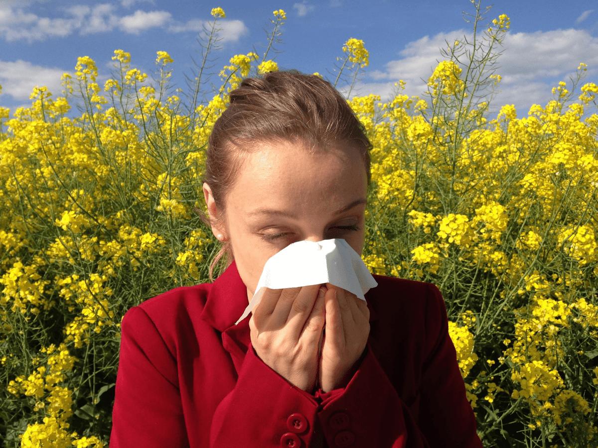 Allergiák - Ez segít a szénanátha ellen